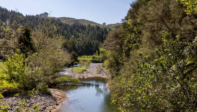 286a Woodland Road, Katikati