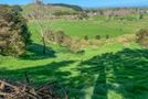 133 Neavesville Road, Puriri, Thames-Coromandel, Coromandel