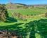 133 Neavesville Road, Puriri, Thames-Coromandel, Coromandel