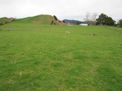 1381 Mangaehu Road, Pohokura and Surrounds