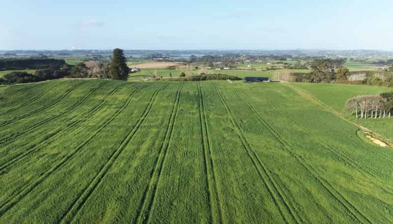 41 McNaughten Rd, Karioitahi