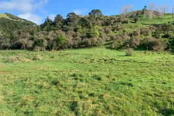 118 Reservoir Road, Waihi