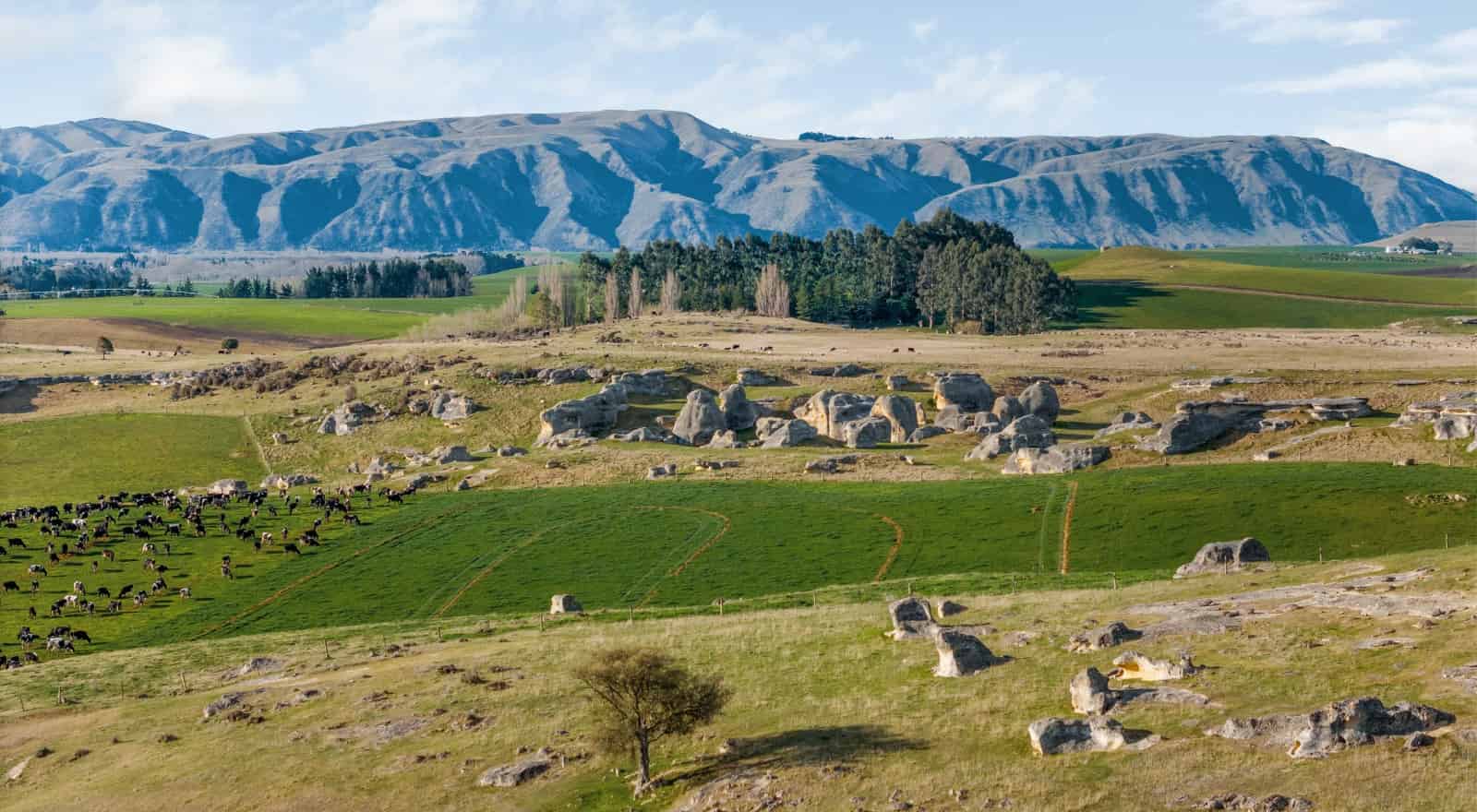 242 Island Cliff Road, Duntroon, Waitaki For Sale realestate.co.nz