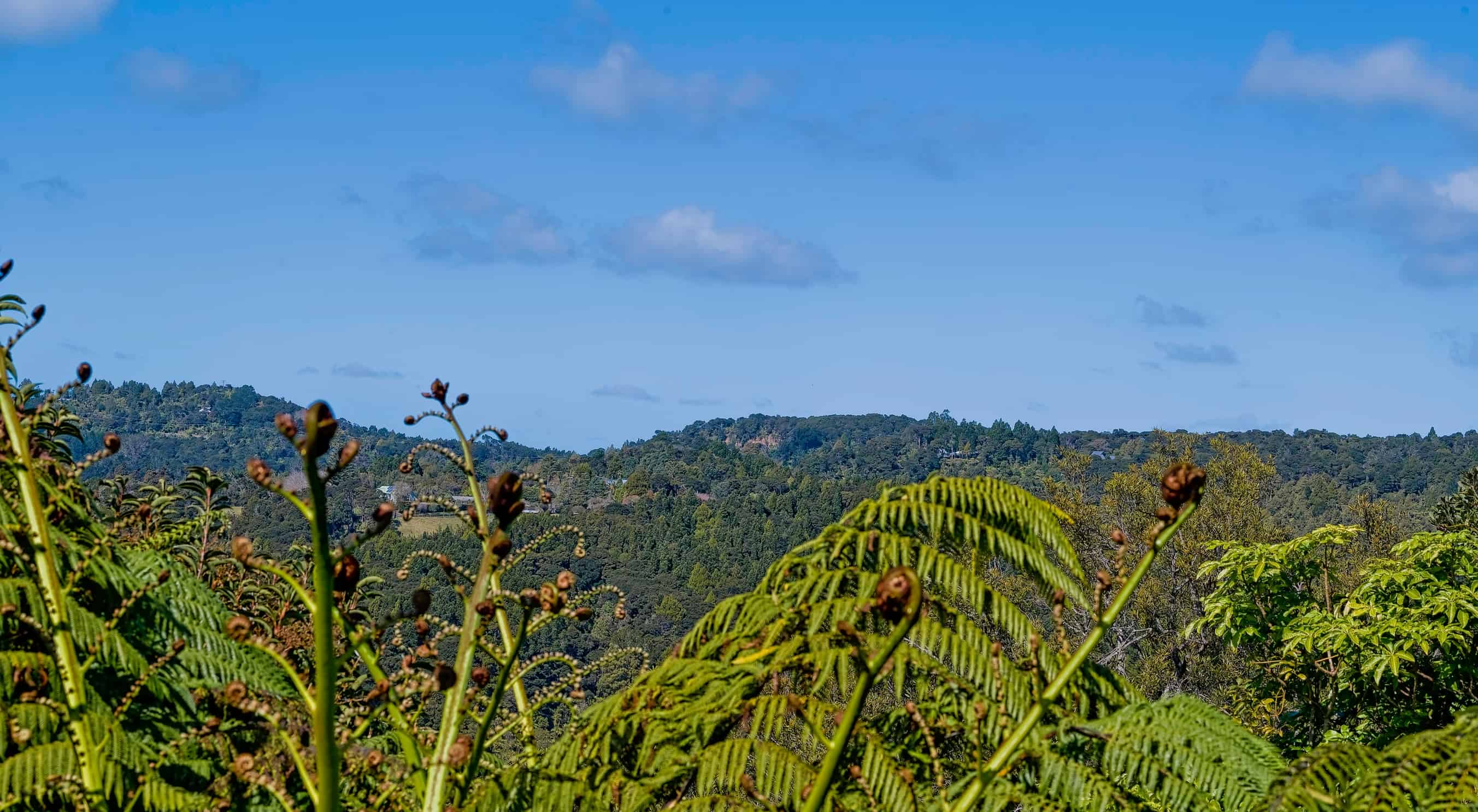 772 West Coast Road, Oratia, Waitakere City For Sale realestate.co.nz