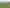 2050 Caffell Road, Edievale
