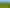 2050 Caffell Road, Edievale
