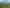 2050 Caffell Road, Edievale