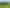 2050 Caffell Road, Edievale