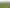 2050 Caffell Road, Edievale