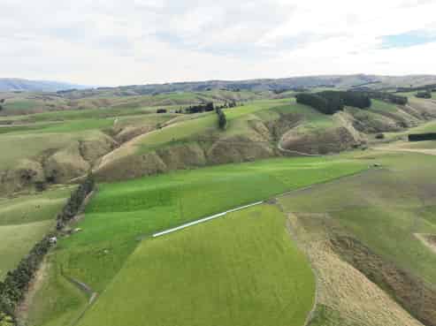 2050 Caffell Road, Edievale