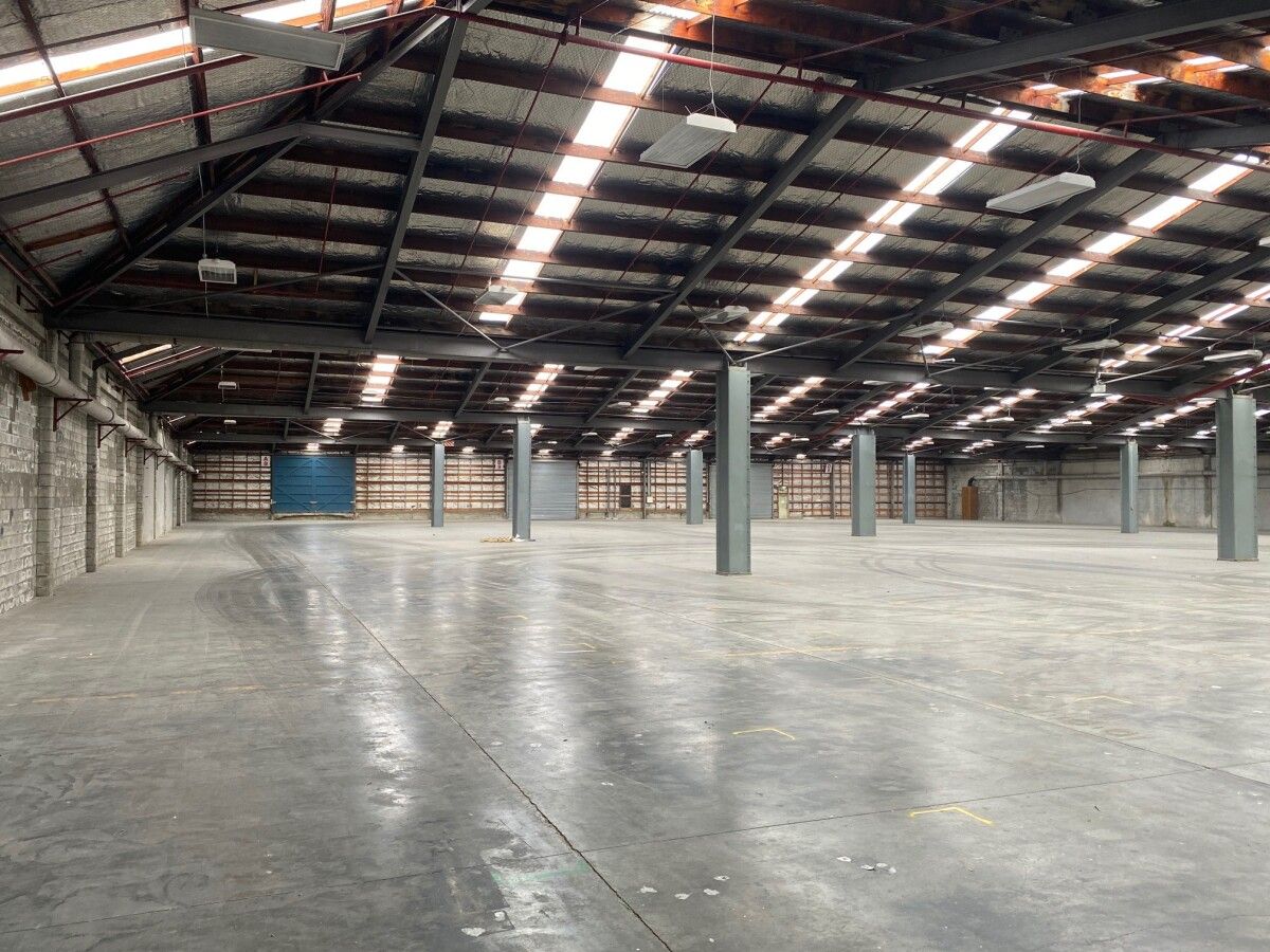 Large Gracefield Warehouse – Incentives offered – pohled 6