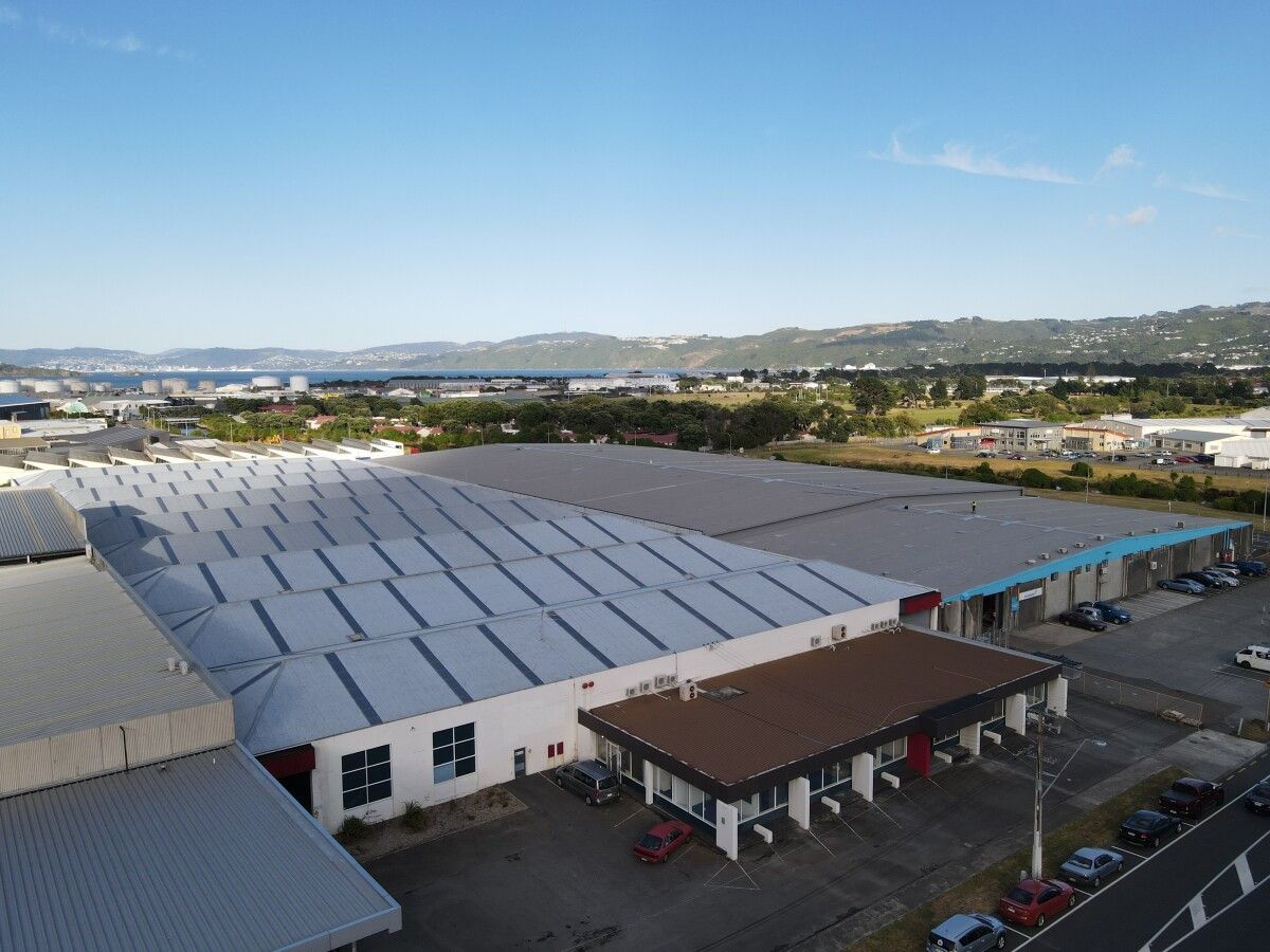 Large Gracefield Warehouse – Incentives offered – pohled 2
