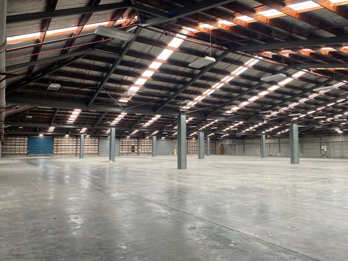 Large Gracefield Warehouse – Incentives offered – pohled 4