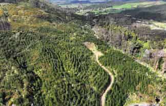 KAIPARA COAST HIGHWAY, Glorit