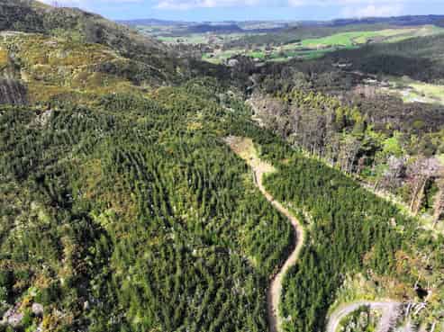 KAIPARA COAST HIGHWAY, Glorit