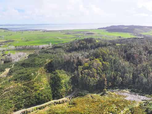 KAIPARA COAST HIGHWAY, Glorit