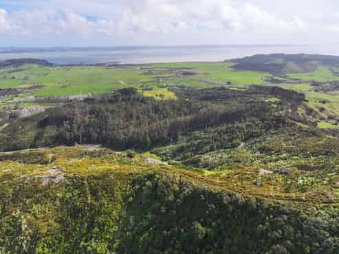 KAIPARA COAST HIGHWAY, Glorit