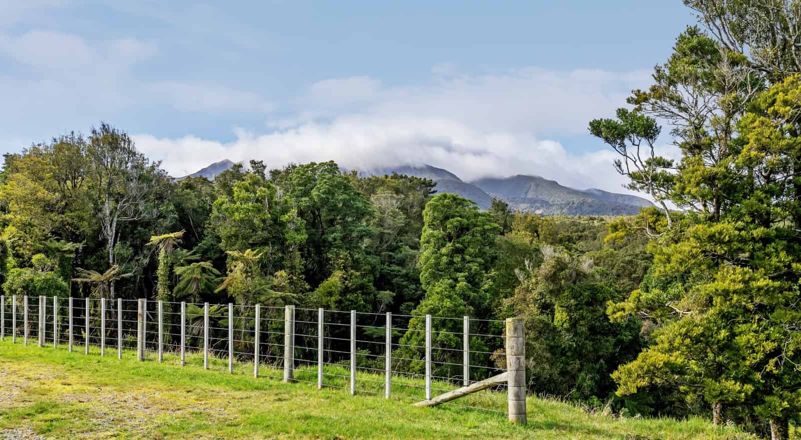 Lot 1 Dover Road, Okato, New Plymouth For Sale realestate.co.nz