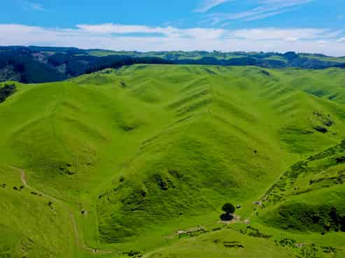 1005 Rangitatau East Road, Kai Iwi