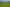 2586 Awhitu Road, Awhitu