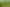 2594 Awhitu Road, Awhitu