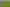 2590 Awhitu Road, Awhitu