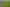 2590 Awhitu Road, Awhitu