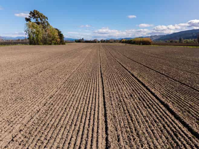 150 Selmes Road, Rapaura