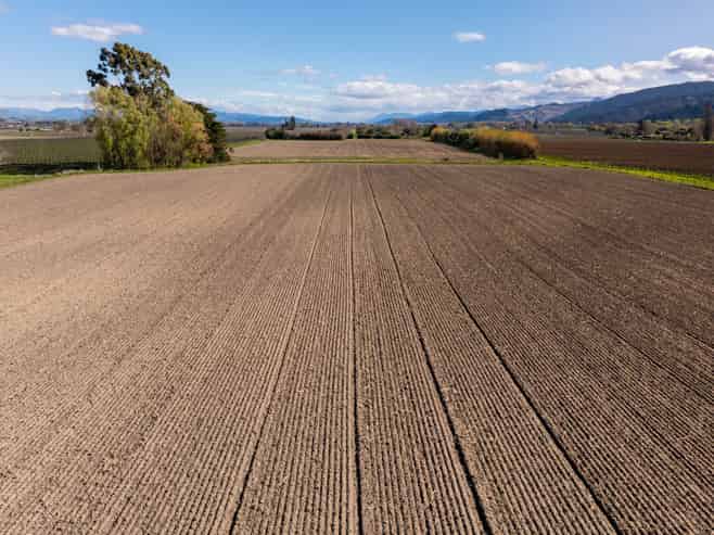 150 Selmes Road, Rapaura