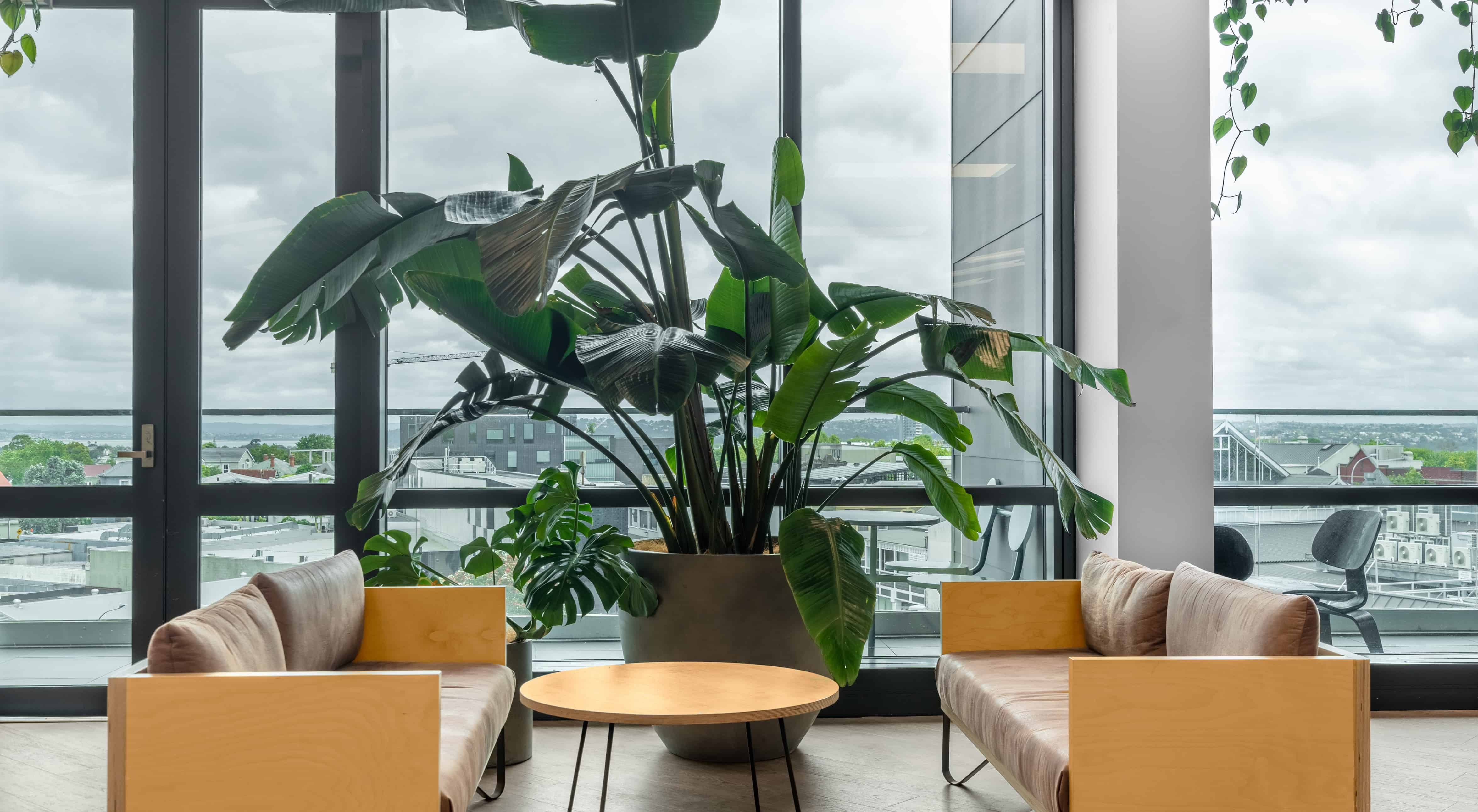 For lease 4 Williamson Avenue, Auckland Central realestate.co.nz