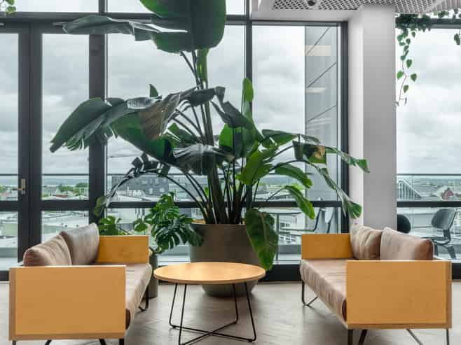 Open plan office for 15 in Cider Building