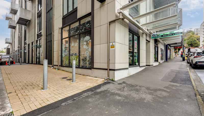 111 Dixon Street, Te Aro