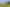 Bay of Plenty - Address withheld