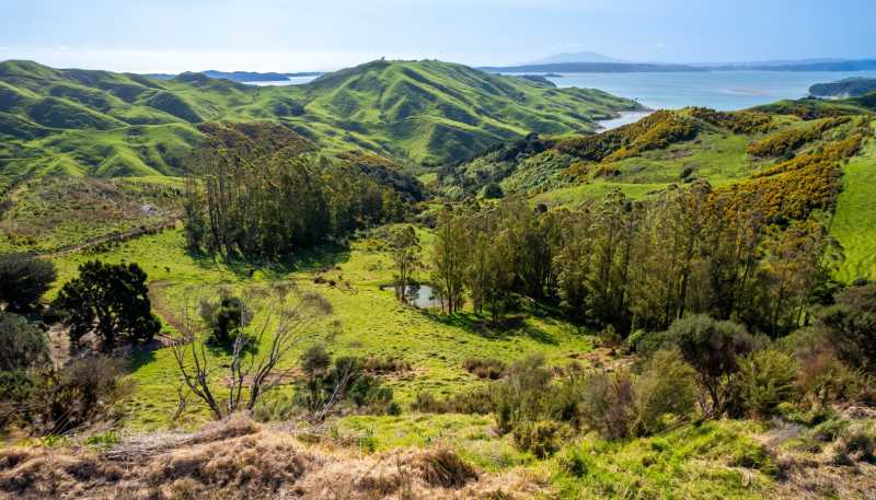 Lot 2 Whakapirau Road, Kawhia
