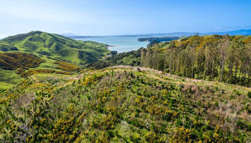 Lot 2 Whakapirau Road, Kawhia