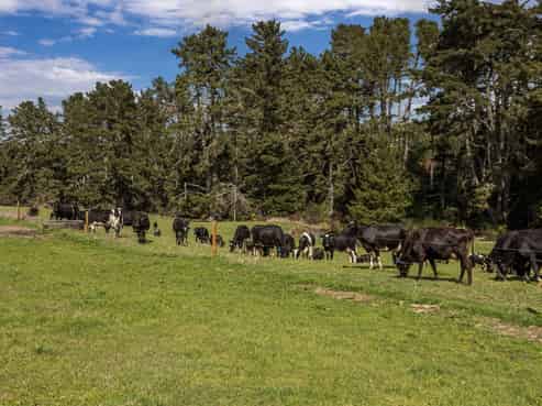 2230 Pokairoa Road, Galatea