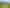 Northland - Address withheld