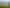 Northland - Address withheld