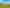 Northland - Address withheld