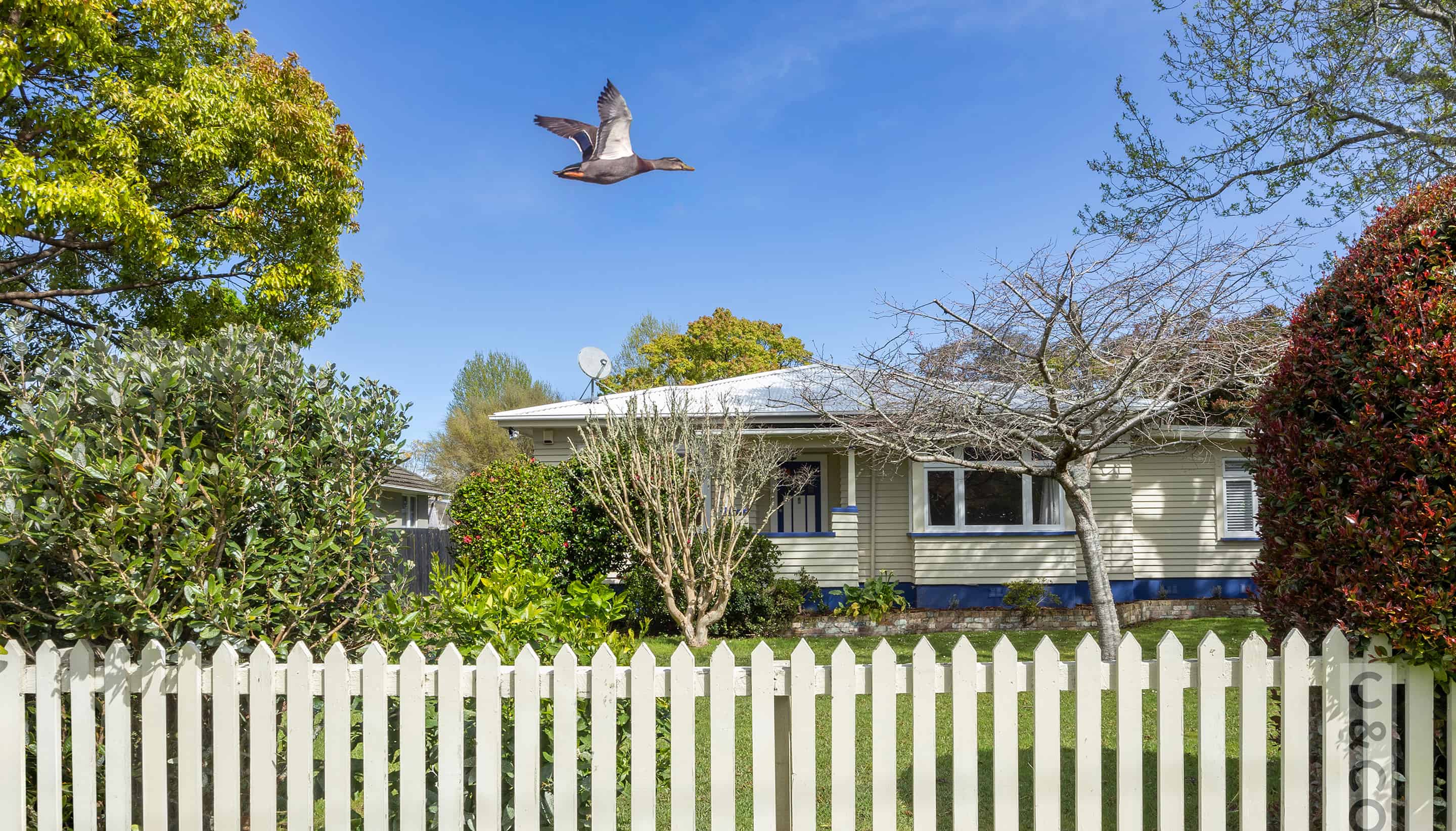 Sold 6 Albert Street, Riverhead realestate.co.nz