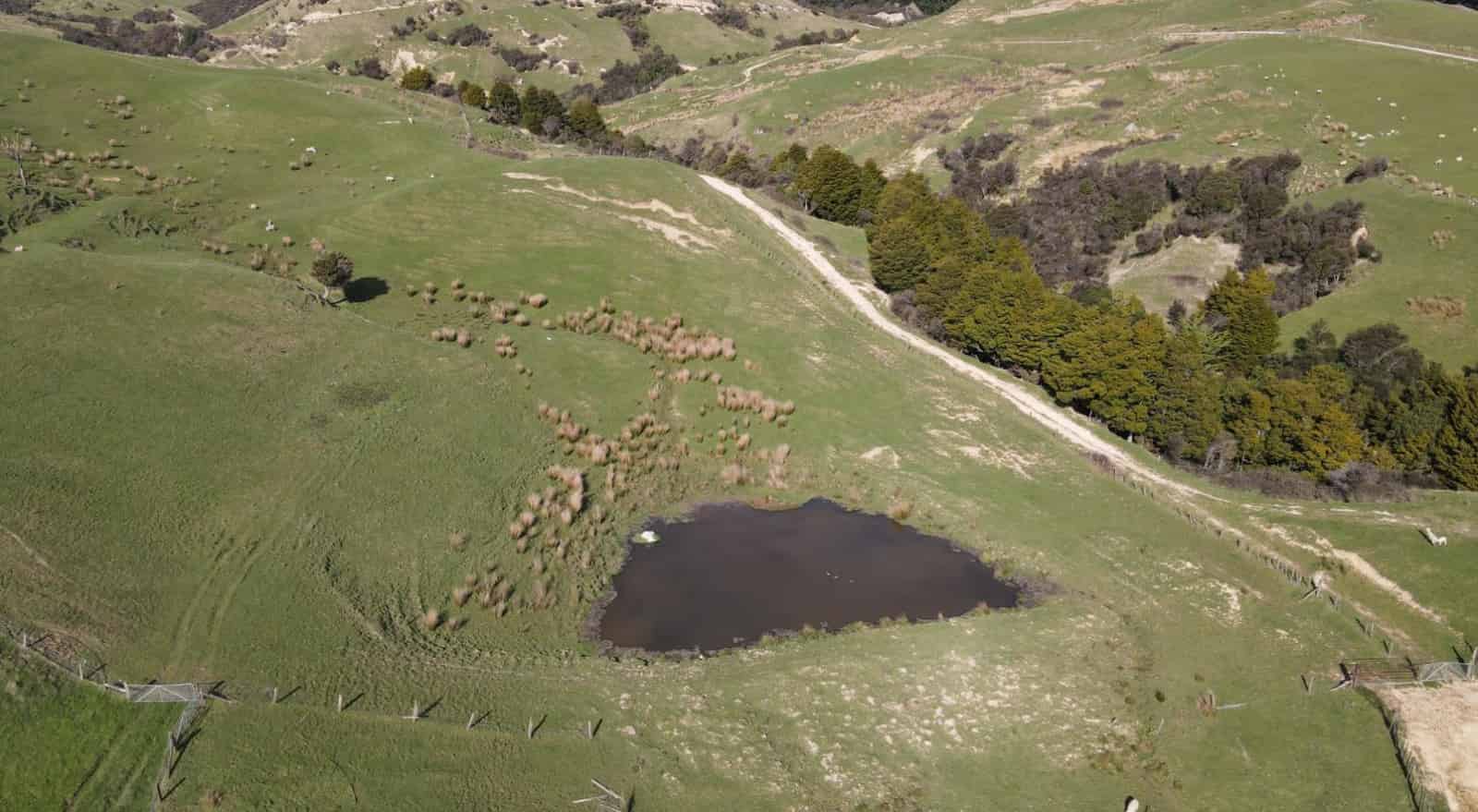 330 Speedy Road, Dannevirke, Tararua For Sale realestate.co.nz