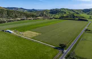 59 Brunton Road, Ngatapa