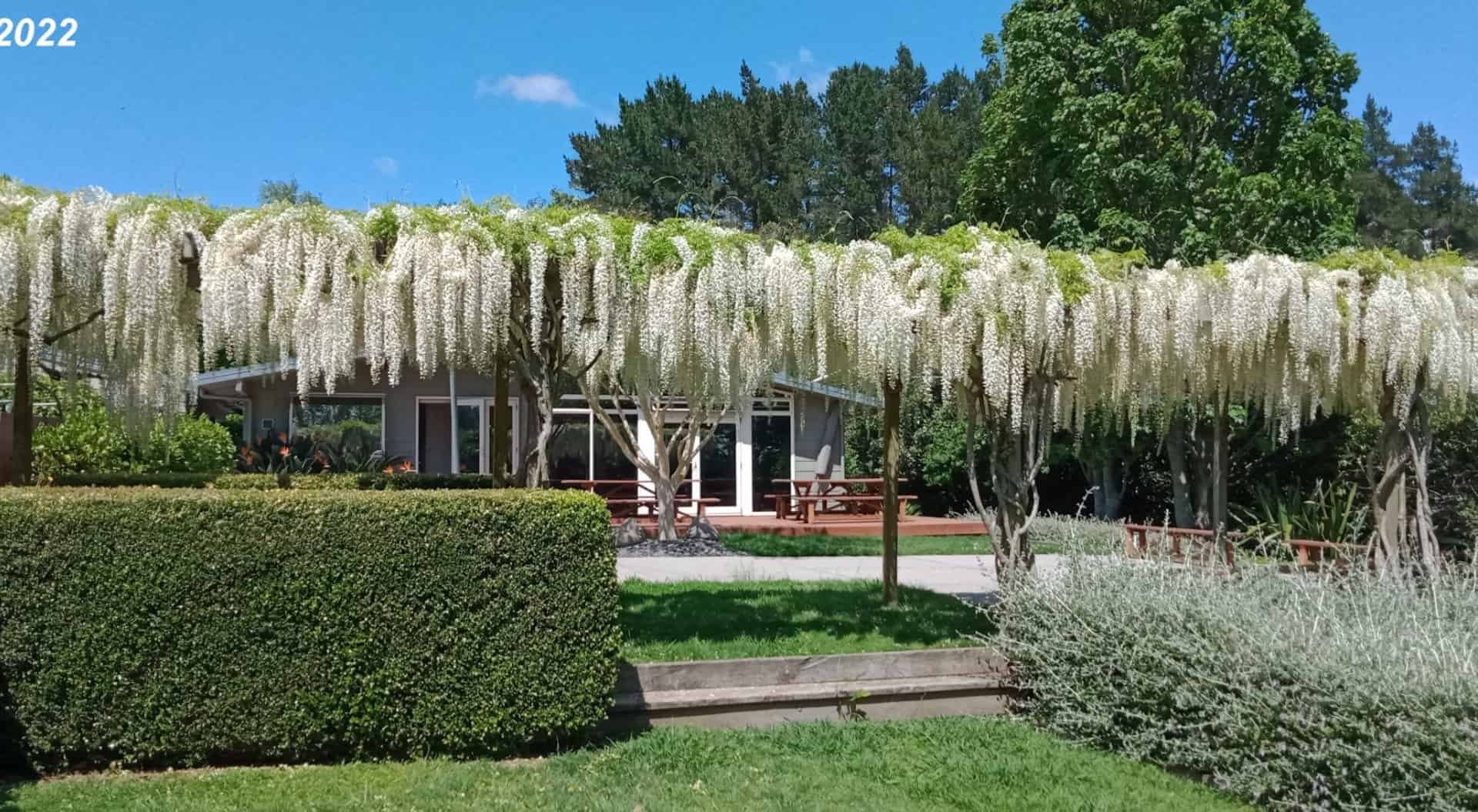 178 Exelby Road, Burbush, Hamilton City For Sale realestate.co.nz