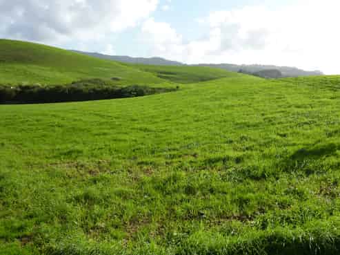 Auckland - Address withheld