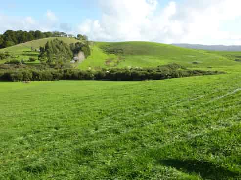 Auckland - Address withheld