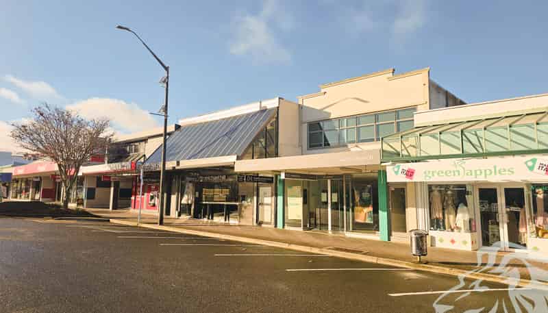 21 Horomatangi Street, Taupo