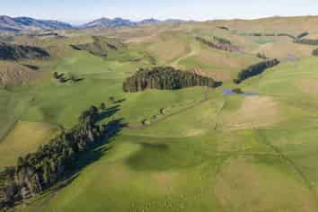 285 Grassmere Road, Lake Grassmere