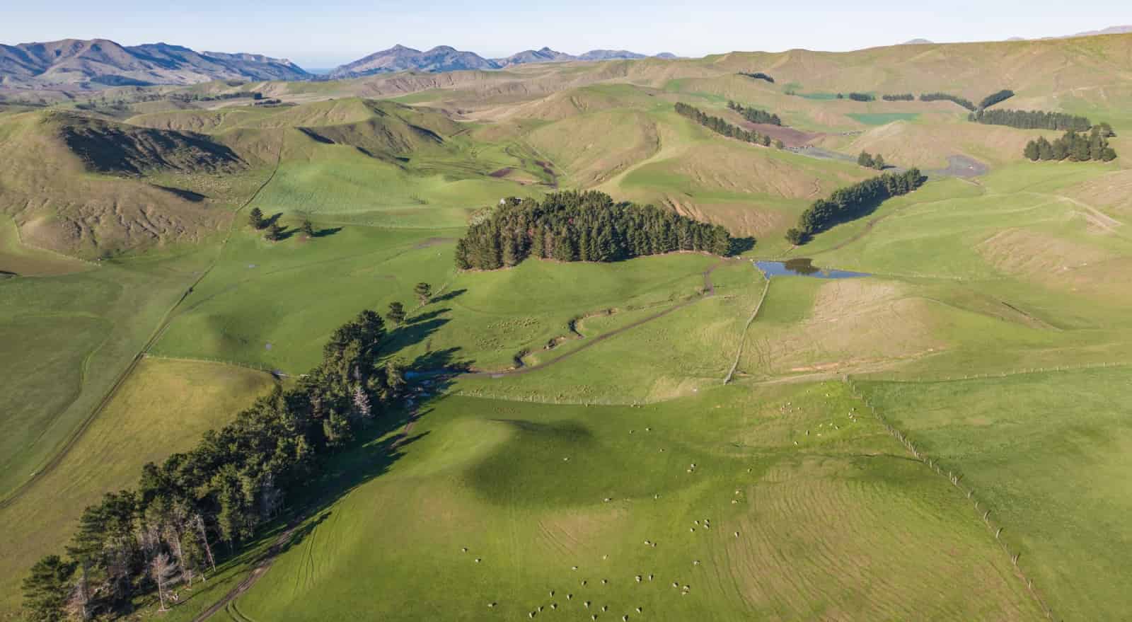 285 Grassmere Road, Lake Grassmere, Marlborough For Sale realestate