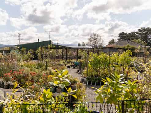 Prime business opportunity in central Wairarapa