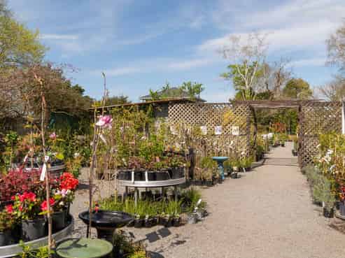 Prime business opportunity in central Wairarapa